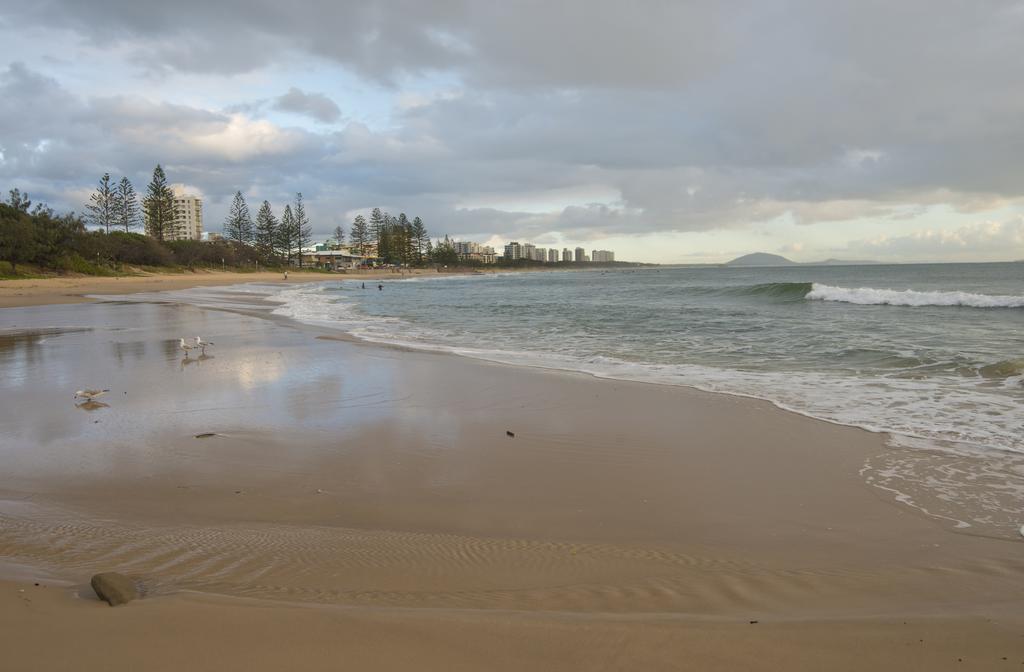Ocean Boulevard Alexandra Headland Εξωτερικό φωτογραφία